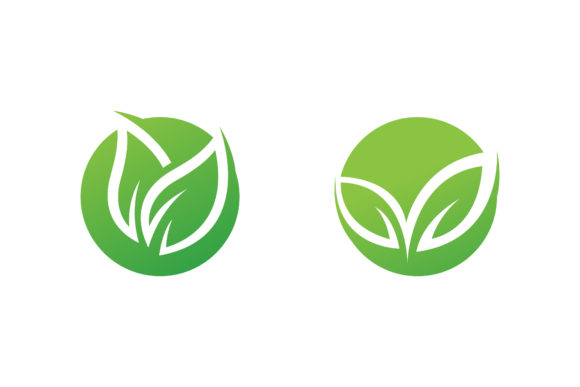 Green Leaf Nature Element Ecology Vector