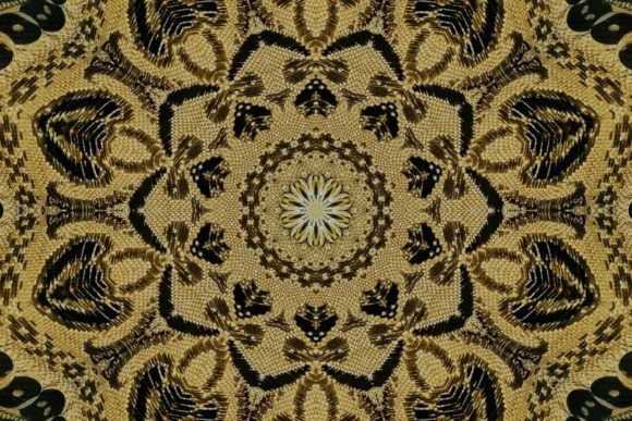 Indian Cultural Design for Decoration: A Timeless Blend of Tradition and Modernity